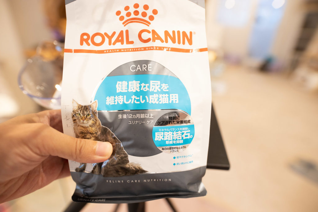 実食！】ロイヤルカナン セイバーエクシジェントのレビュー - ねことぼく